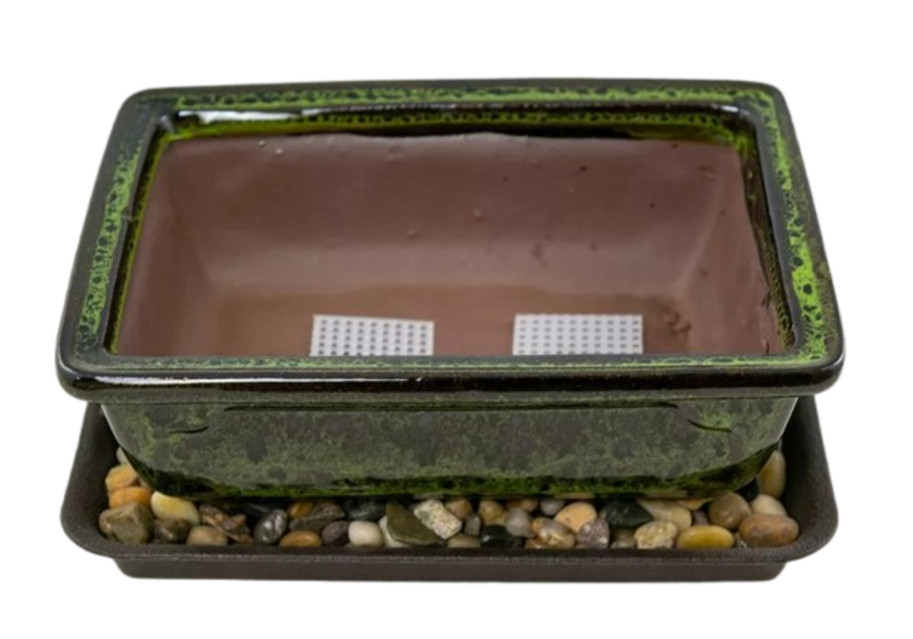 8" Rectangular Moss Green Bonsai Cactus Succulent Pot + Tray + Rock + Mesh Combo